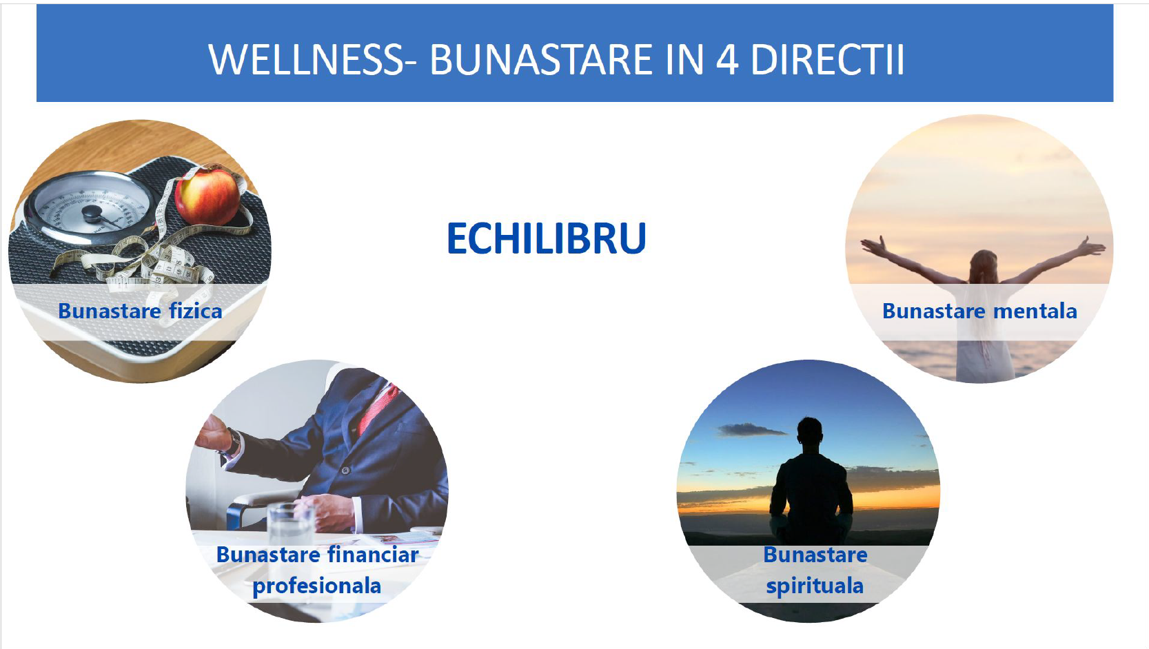 Conceptul eduHab. Bunastare in 4 directii de baza